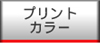 プリントカラー