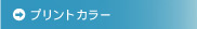 プリントカラー